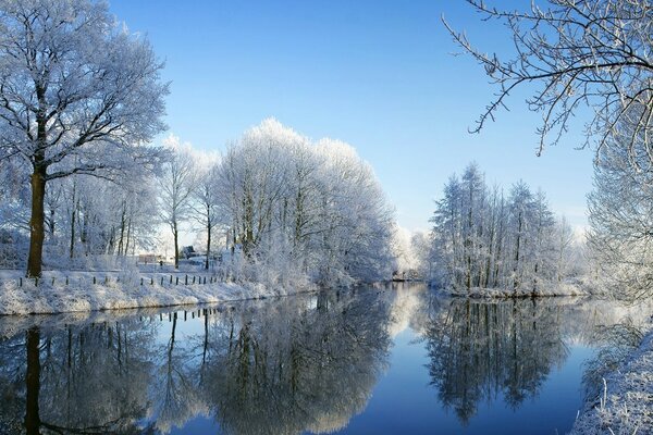 Reflet des arbres enneigés dans la rivière