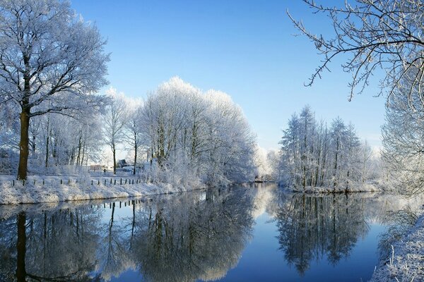 Отражение заснеженных деревьев в реке