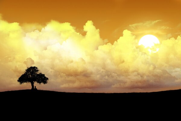 A tree on the horizon under the sunset clouds