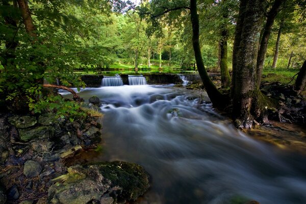 Waterfall with flowing water in a river in the forest