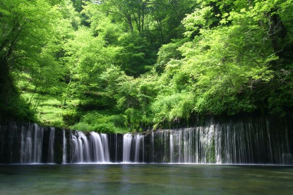 Waterfall in an old remote forest