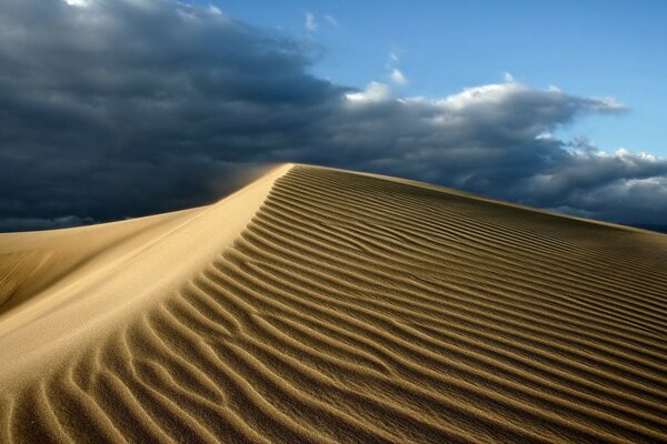 Deserto sabbioso. Nuvole Nere