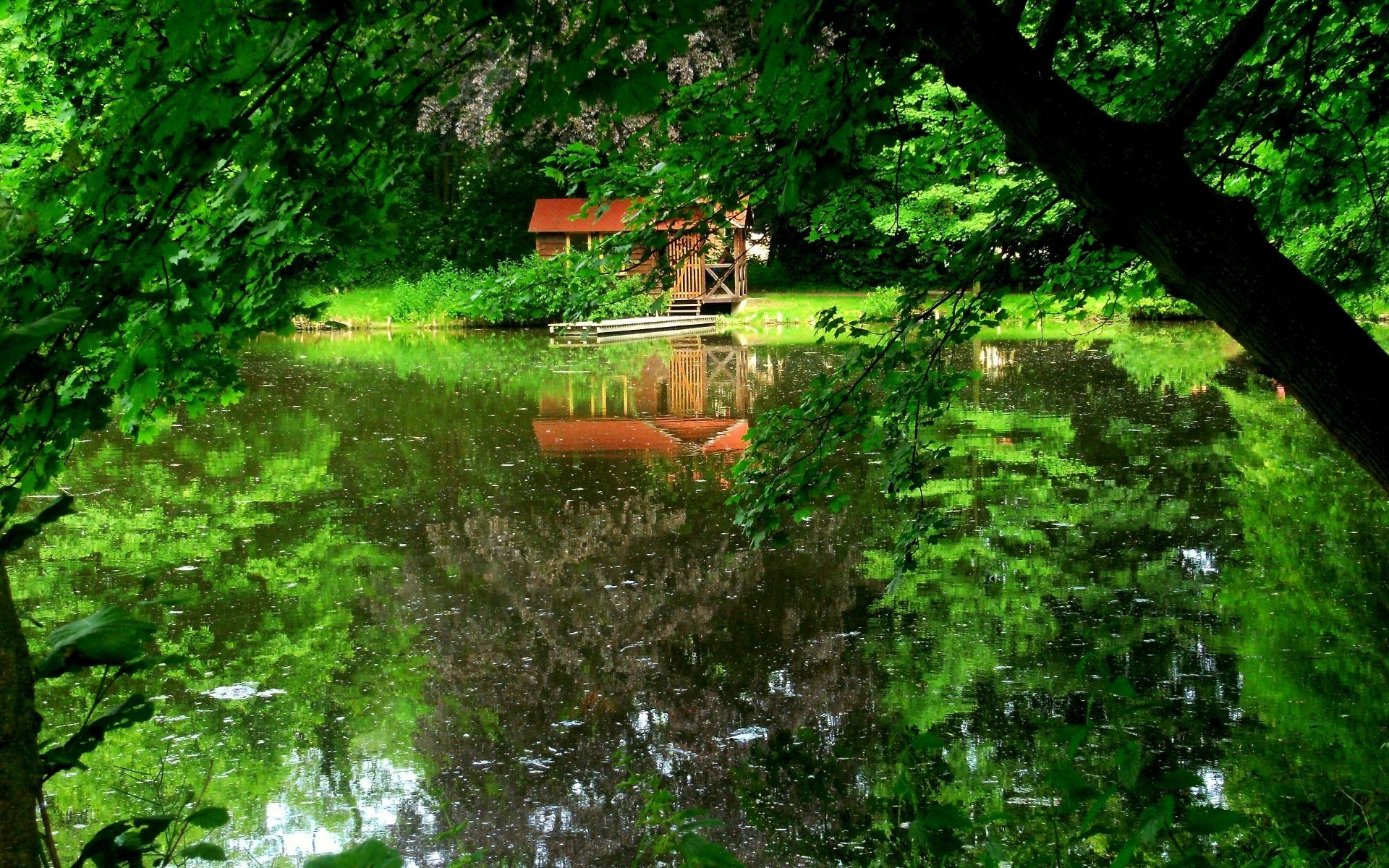 dock lago alberi