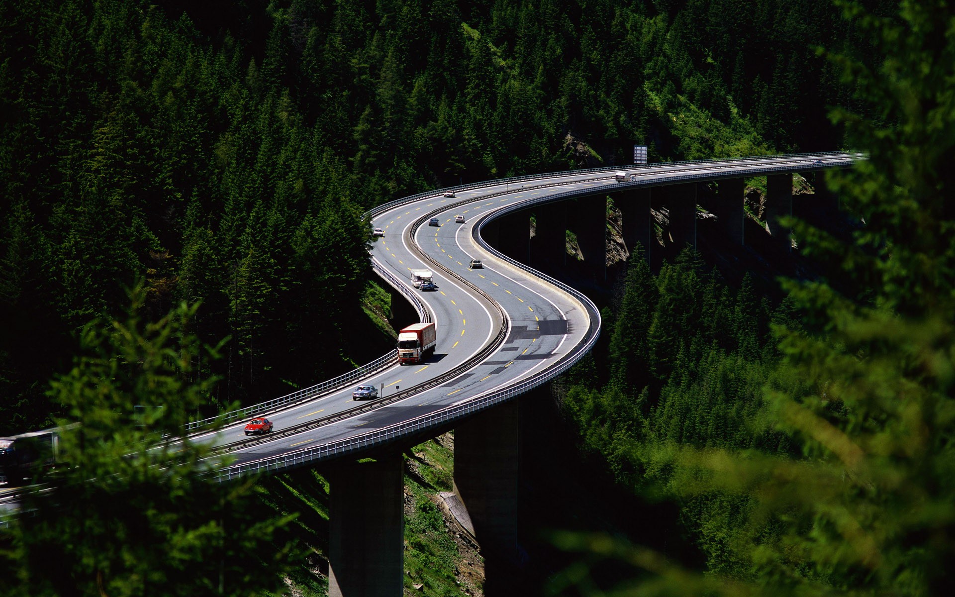 road forest height