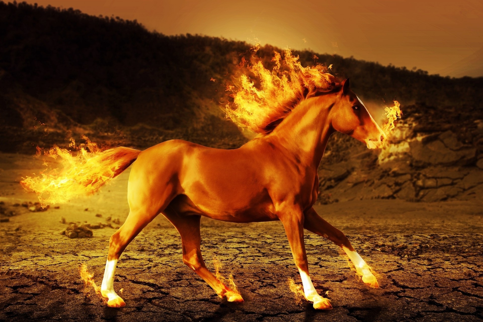 fire art horse 3d