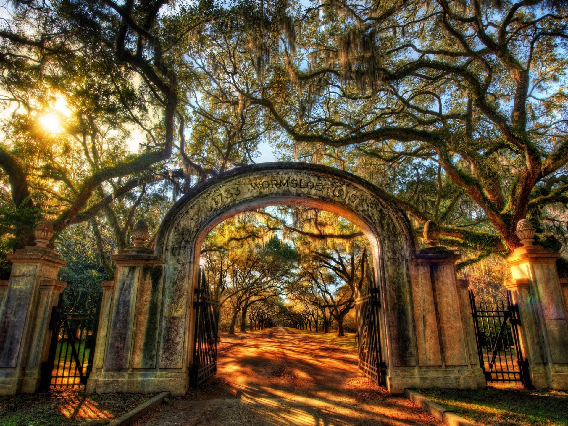 wormsloe parc arbres soleil allée