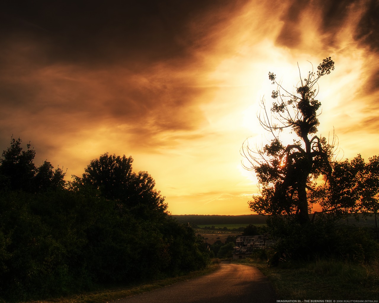 sonnenuntergang sonne himmel baum büsche straße