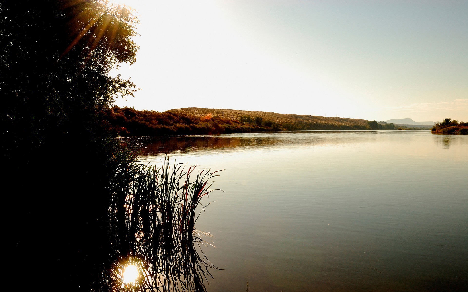 lago arbusto árbol colinas rayos del sol