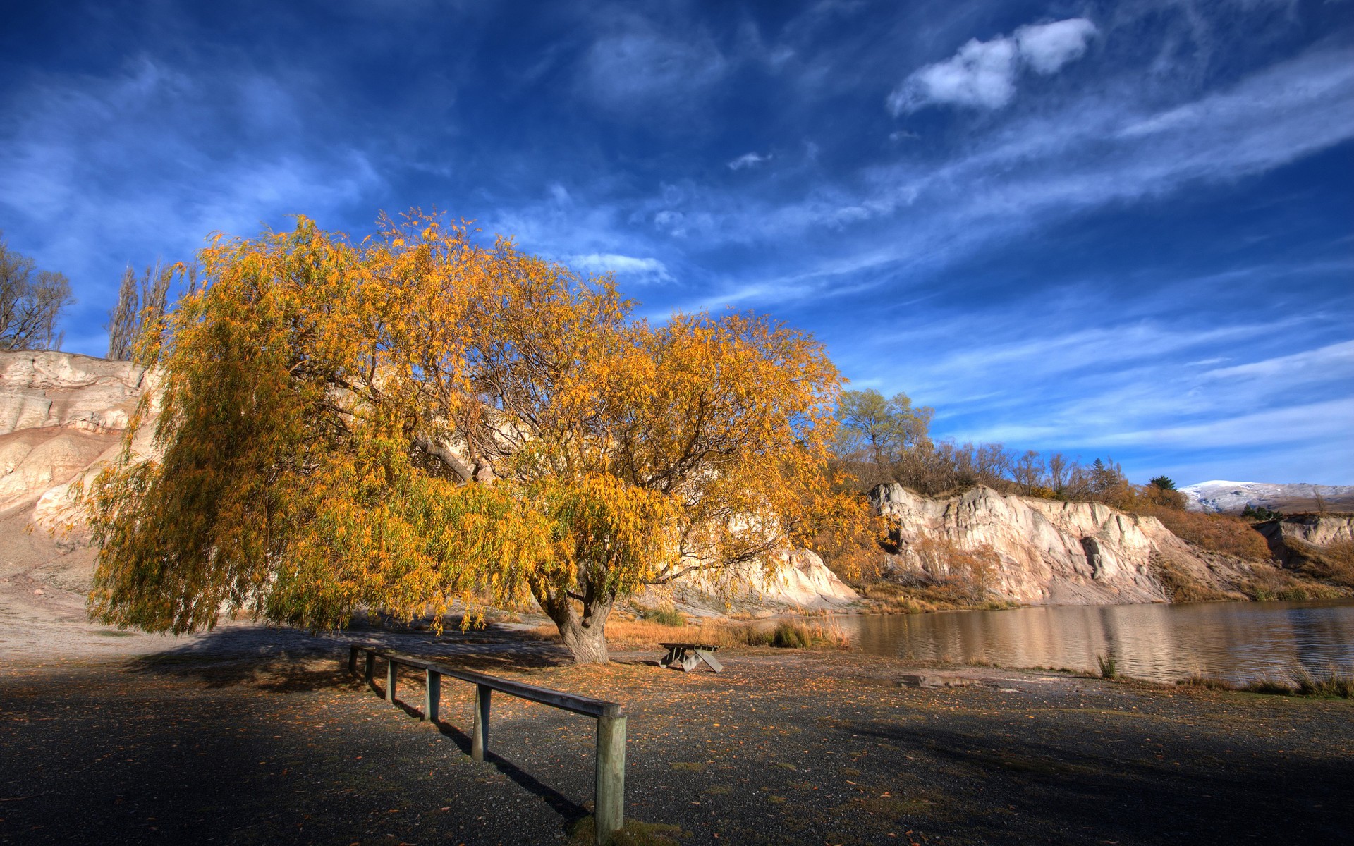 nueva zelanda cielo árbol otoño