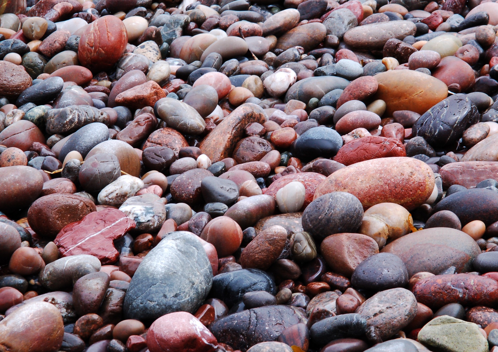 kamienie plaża moka mokre