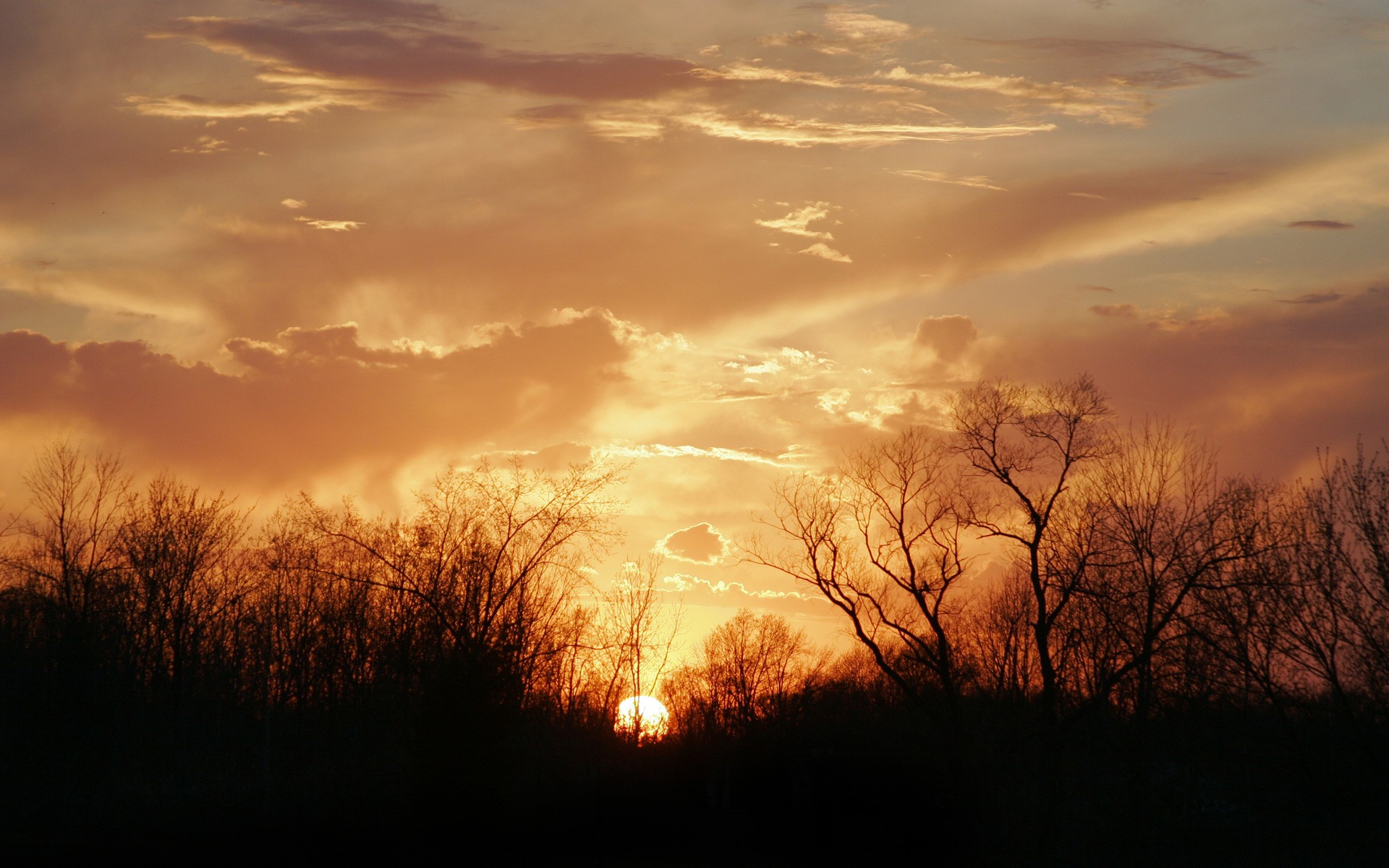 sonne sonnenuntergang bäume wolken