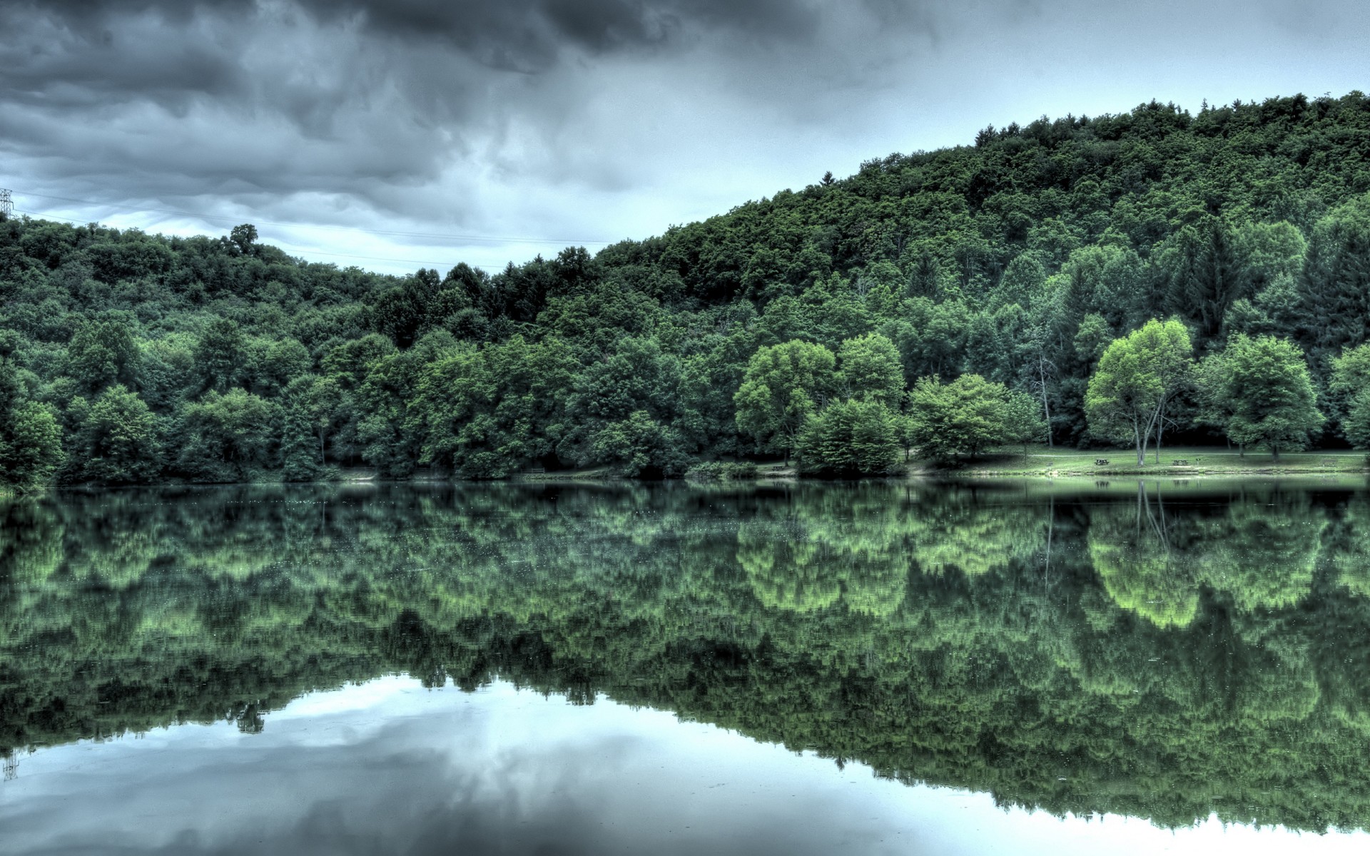 eau forêt réflexion