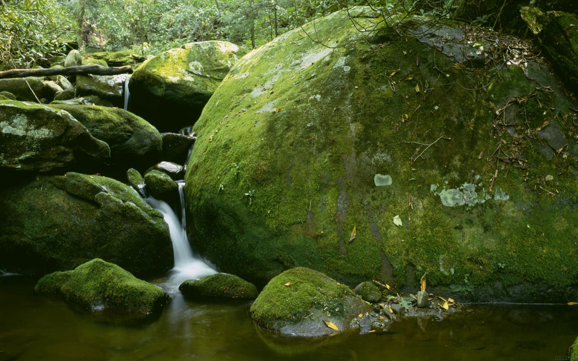 cascata pietre muschio