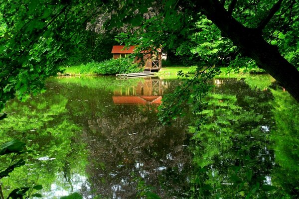 Gazebo in the green forest by the lake