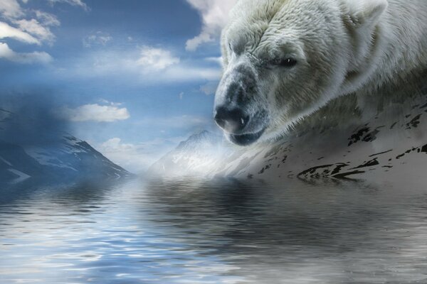 Art avec un ours polaire au bord de l eau