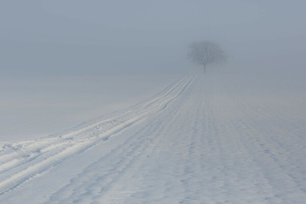 Tracce in inverno durante la nebbia