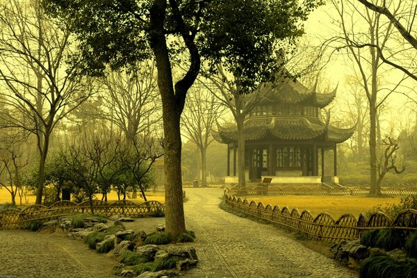 L asia è l incredibile bellezza del giardino