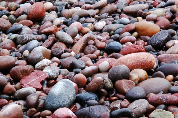 Guijarros de color húmedo en la playa