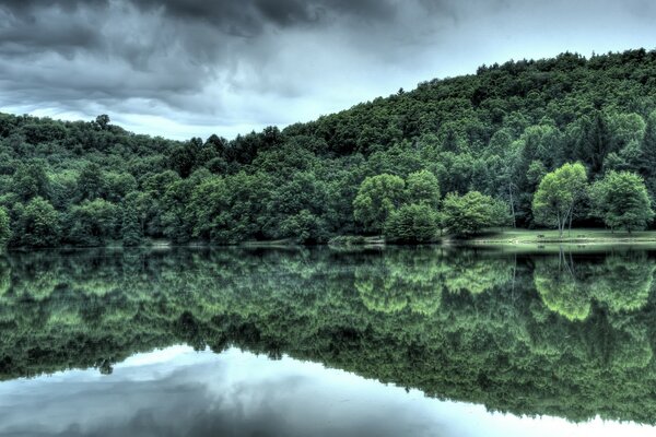 The mirror image of the forest on the water