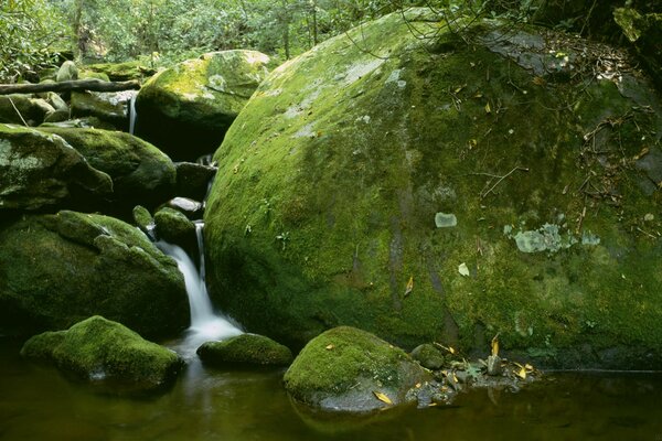 Grande masso coperto di muschio vicino a una cascata