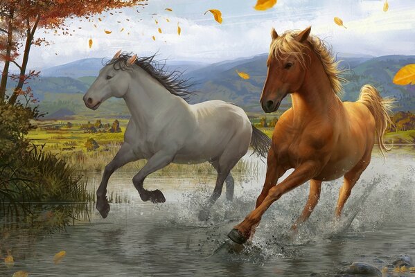 Deux chevaux courent le long de la rivière
