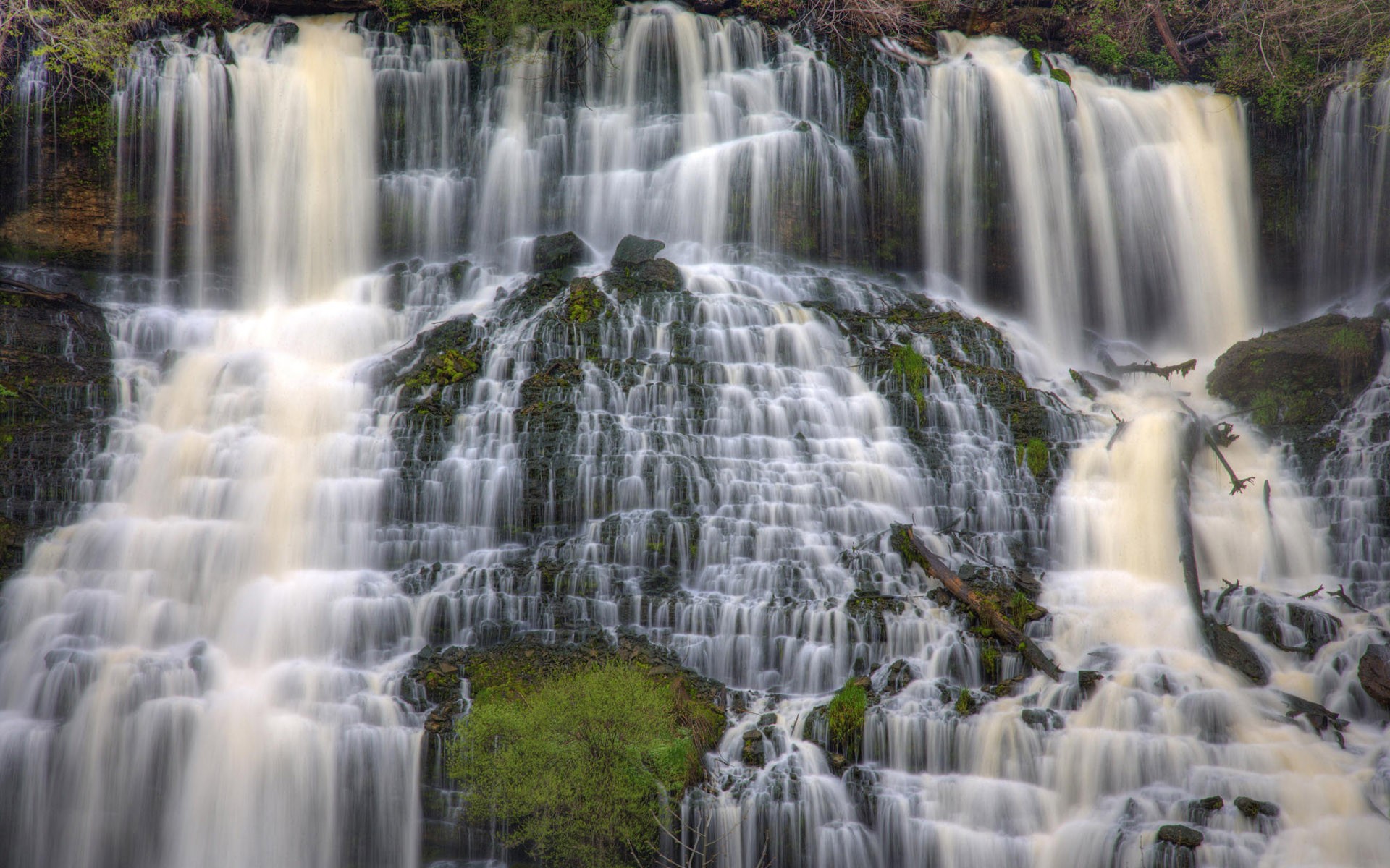 foresta cascata natura