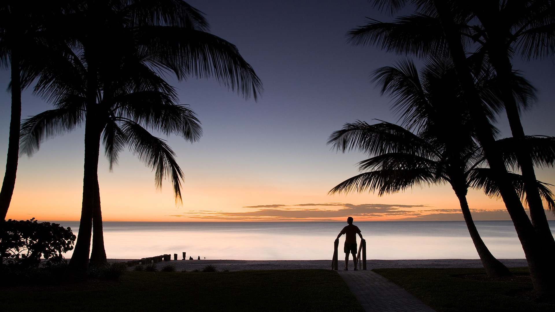 palm beach men sunset paradise