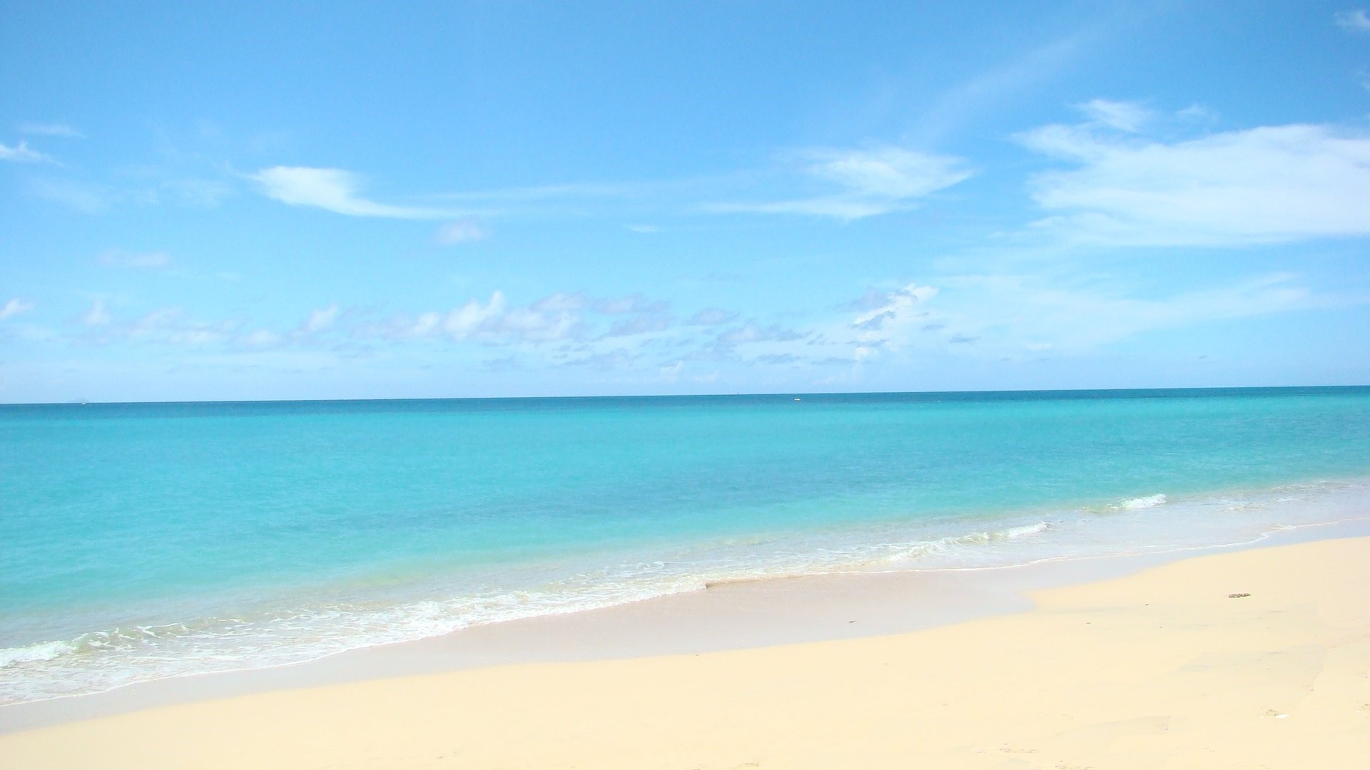 beach ocean sky