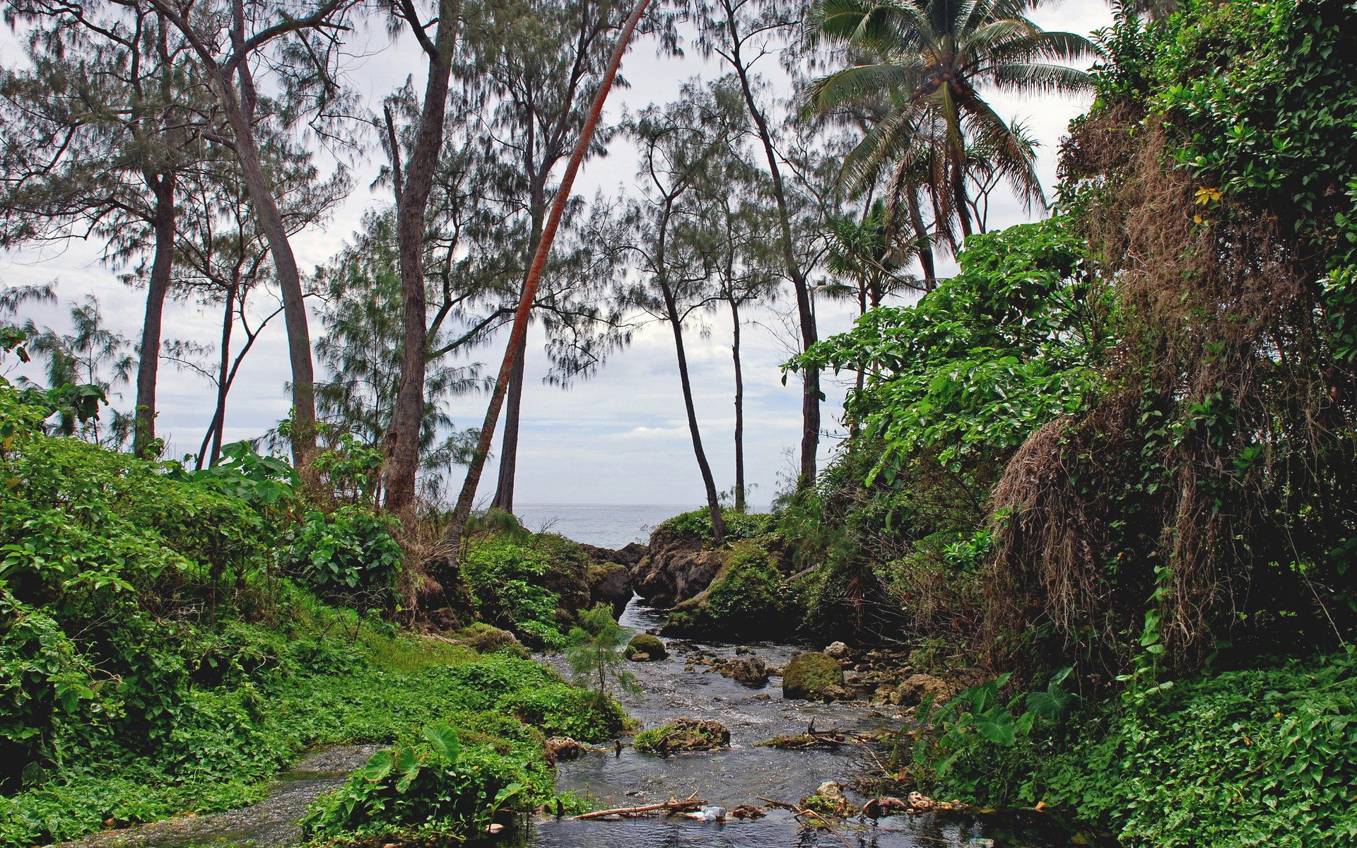 vanuatu efate island creek