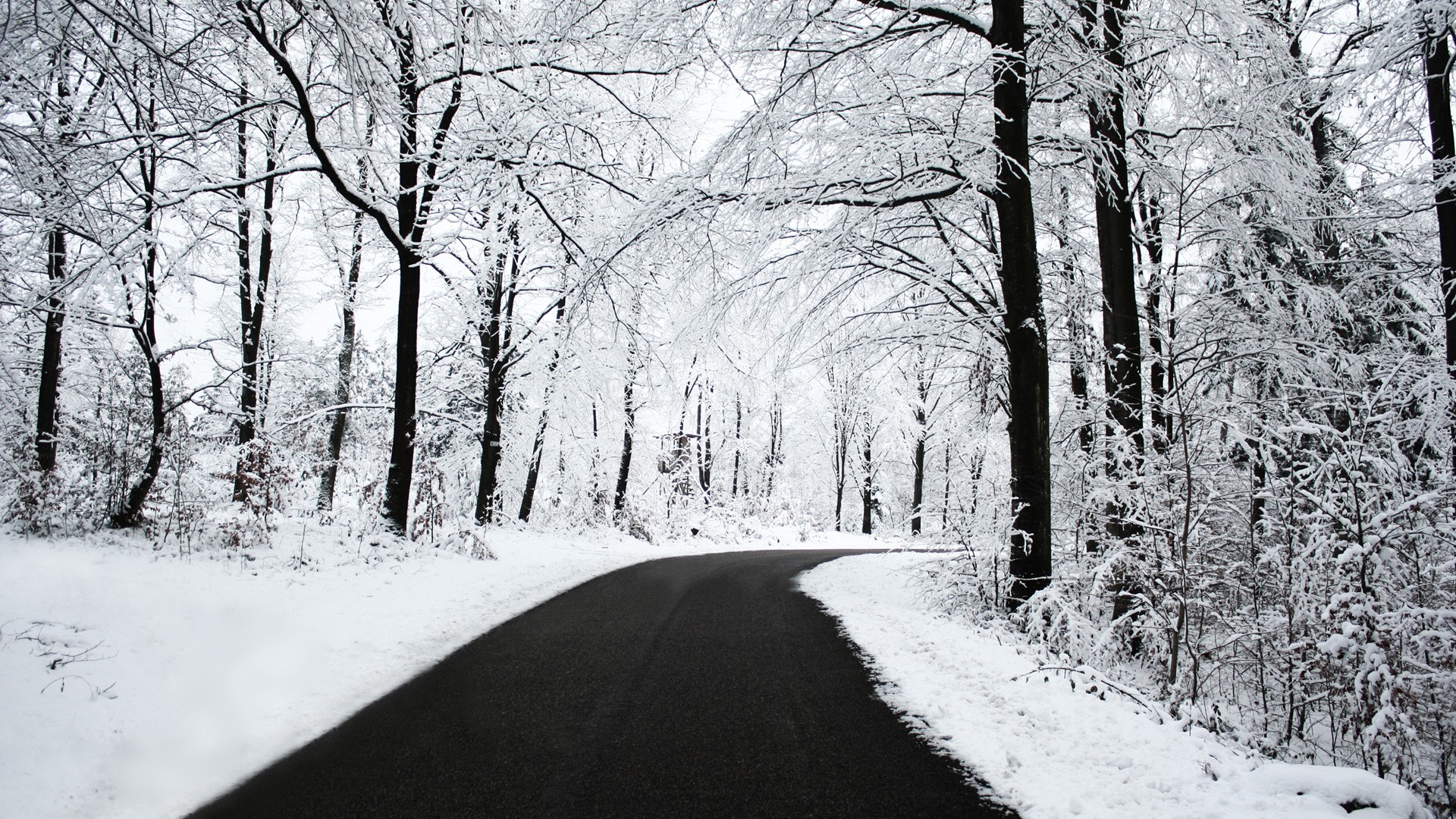 strada inverno neve alberi