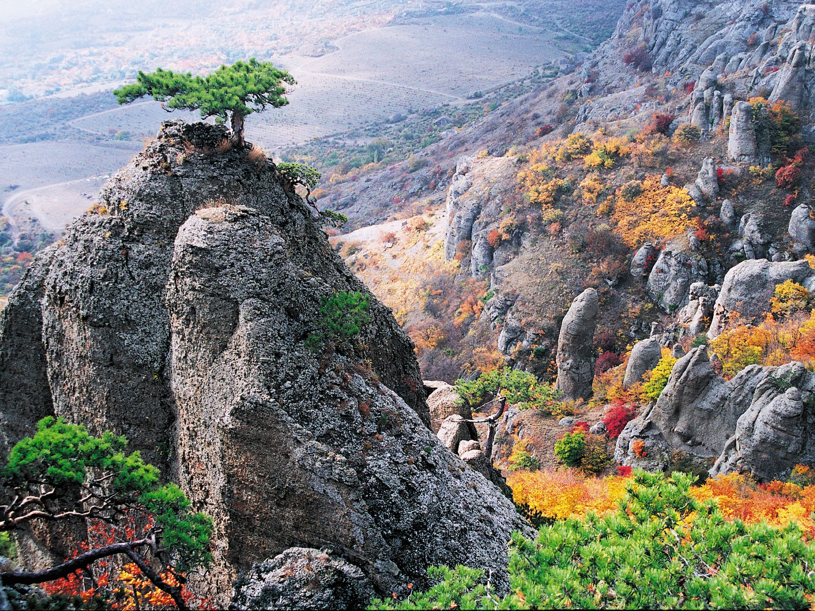 crimea autumn rock tree bush road in the distance