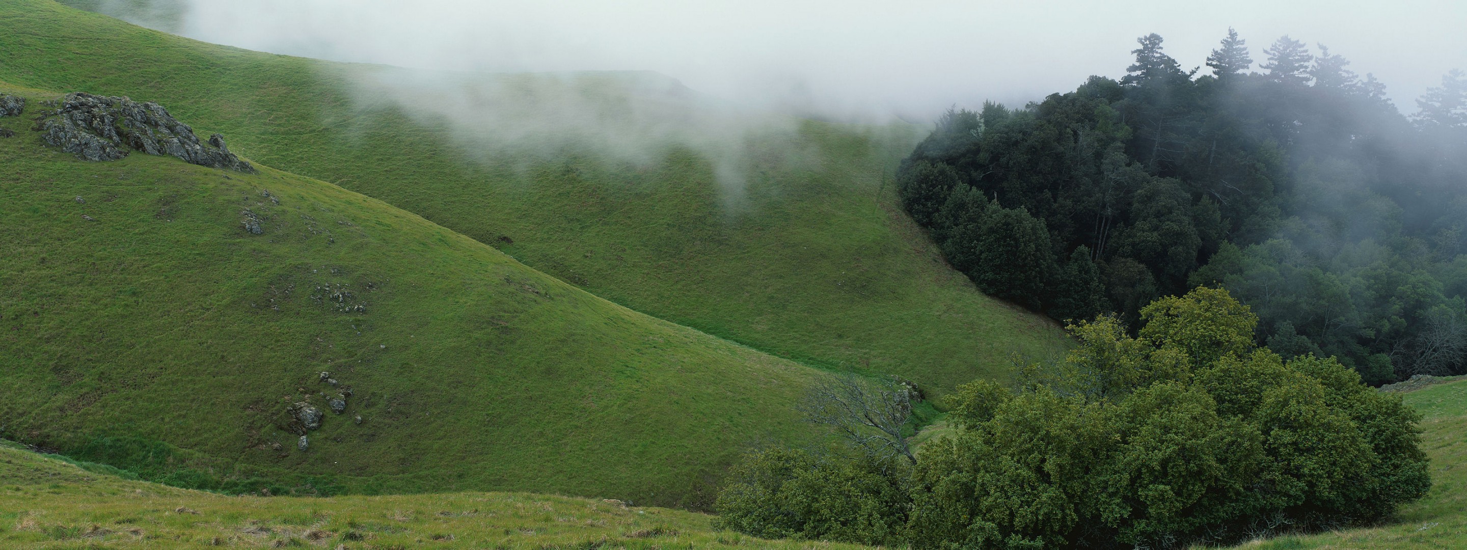 verde colinas niebla