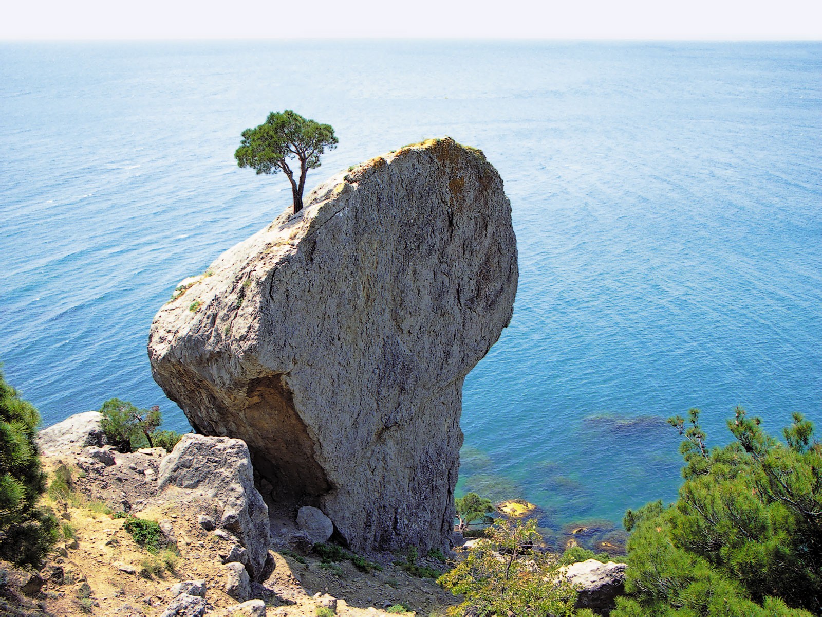 crimea summer black sea rock water tree