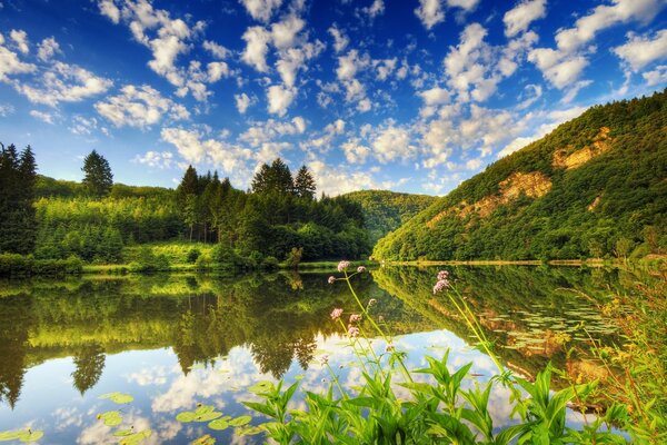 Paisaje con hermosas nubes blancas