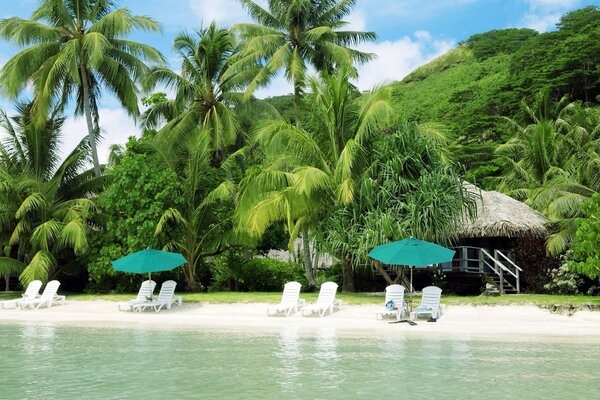 Ein paradiesischer Strand am Meer