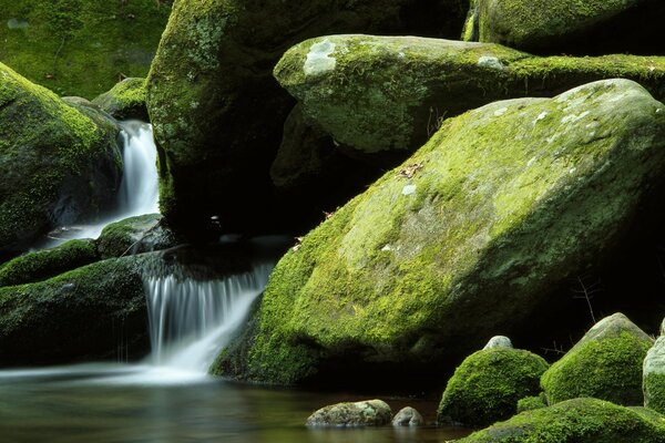 Paysage avec cascade et rochers moussus