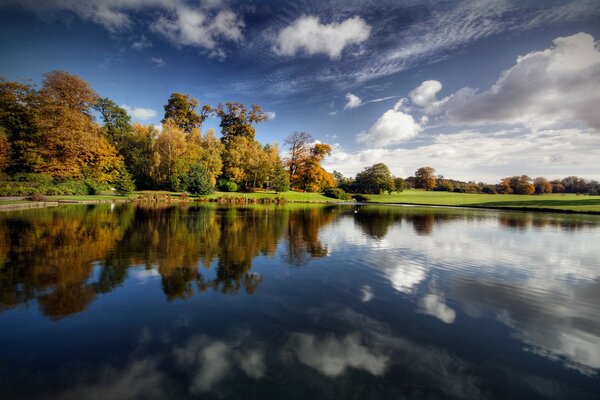 Reflection of nature in water