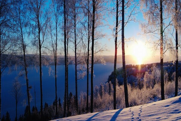 Sol de invierno. Río en la nieve