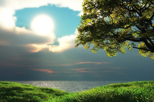 Eine beruhigende Landschaft. Das Meer und der Baum