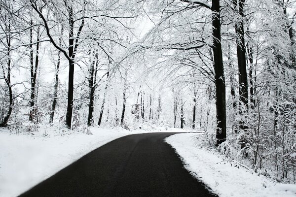 A deserted road in a snowy forest