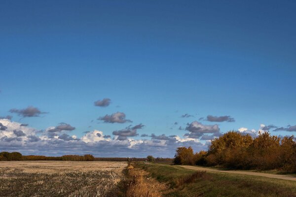 Schwebende Wolken über dem Feld