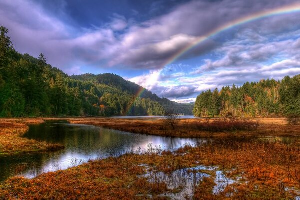 Regenbogen auf dem Hintergrund des Waldes der Wolken und des fließenden Flusses