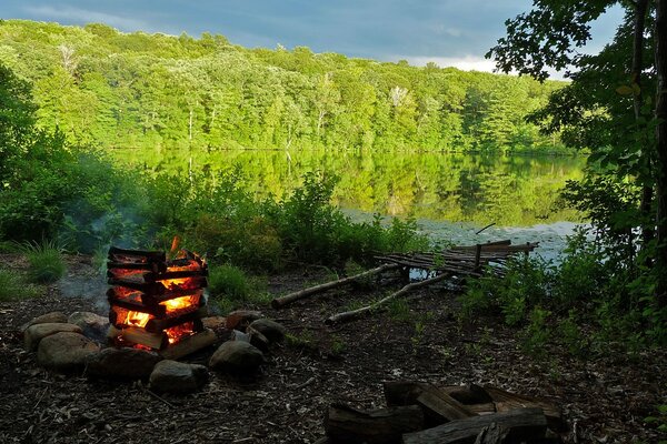 Cozy campfire on a picnic in the woods by the lake