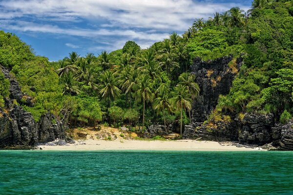 Playa en un lugar aislado entre palmeras