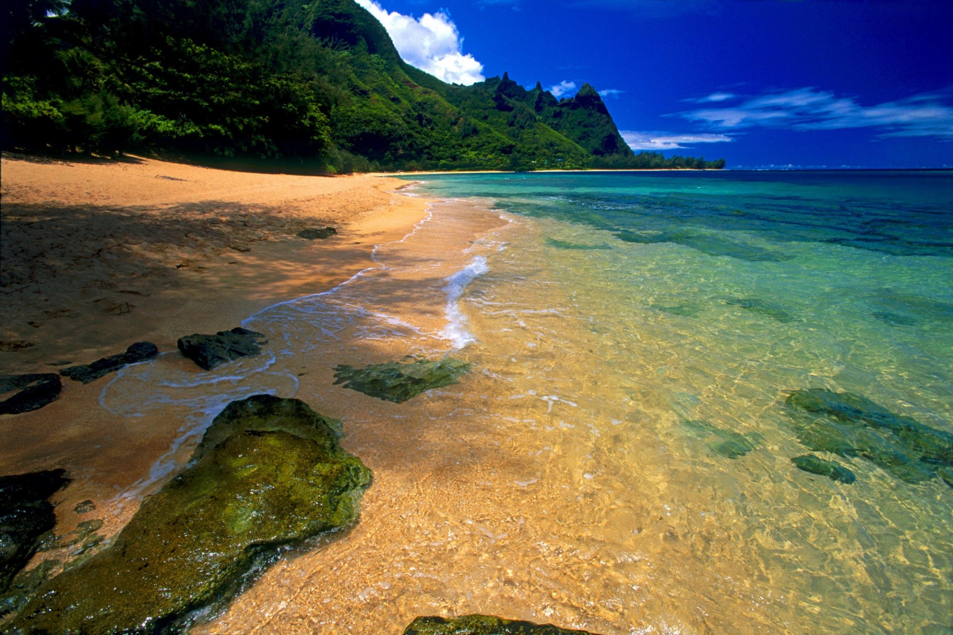 océan plage quoi d autre vous avez besoin