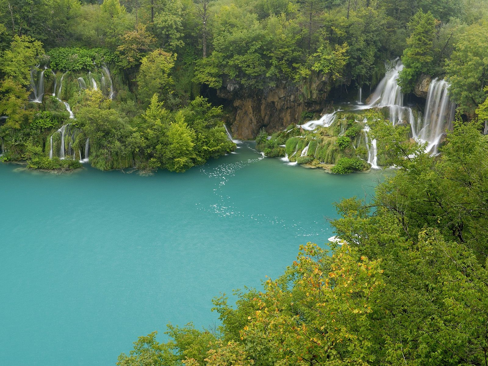 plitvice lakes water waterfalls tree