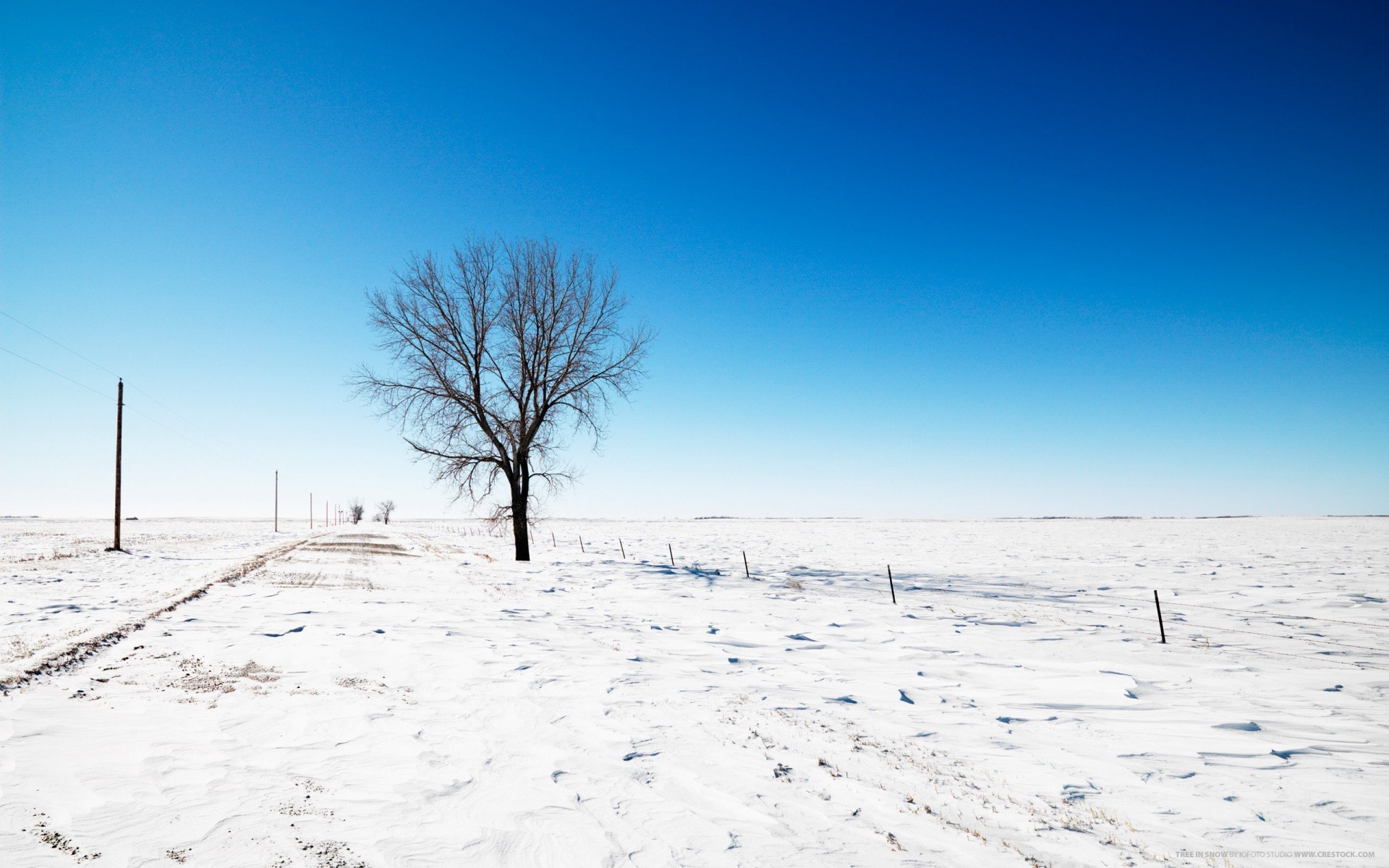 invierno nieve árbol carretera cielo