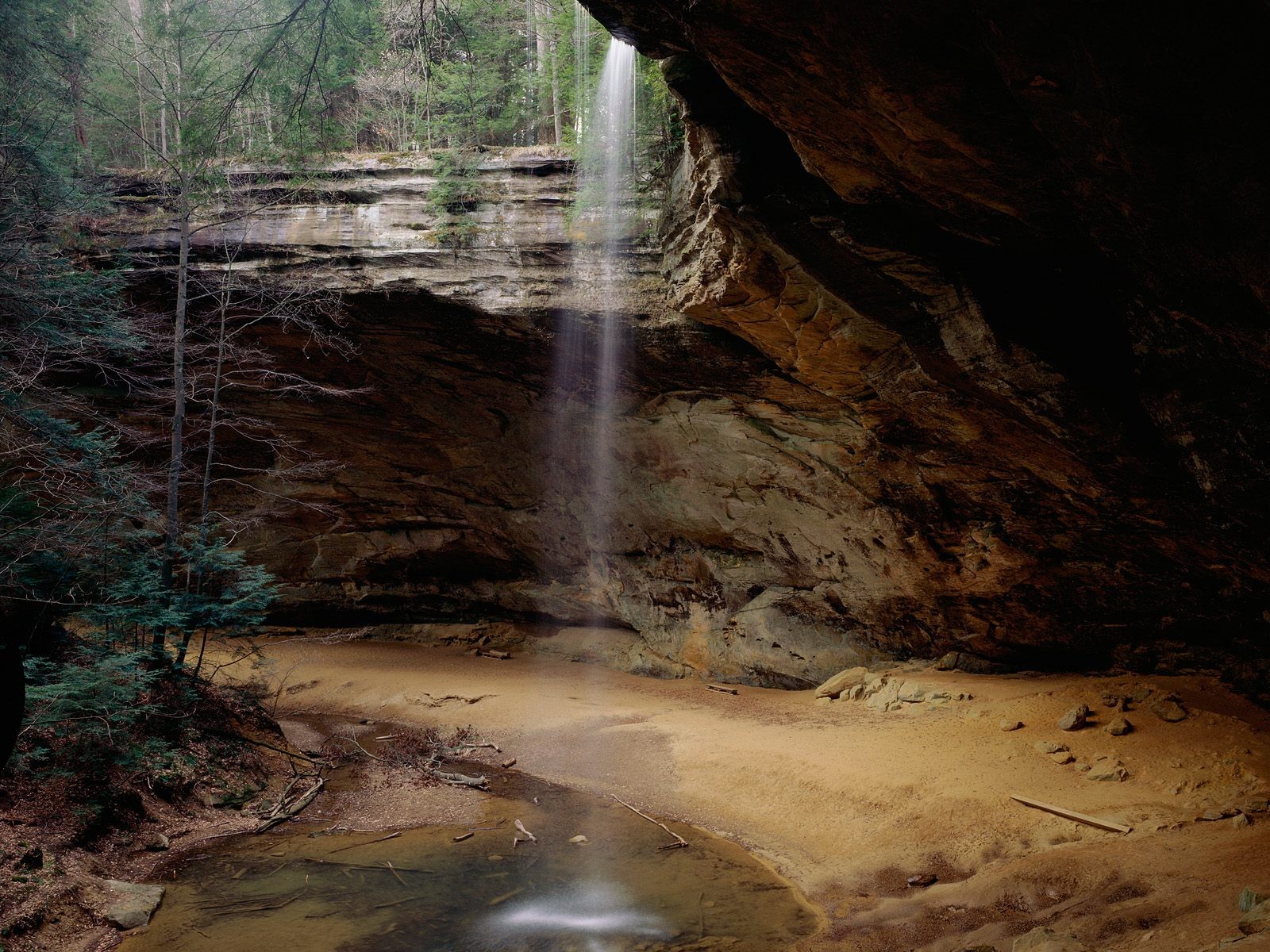 cascata alberi scogliera