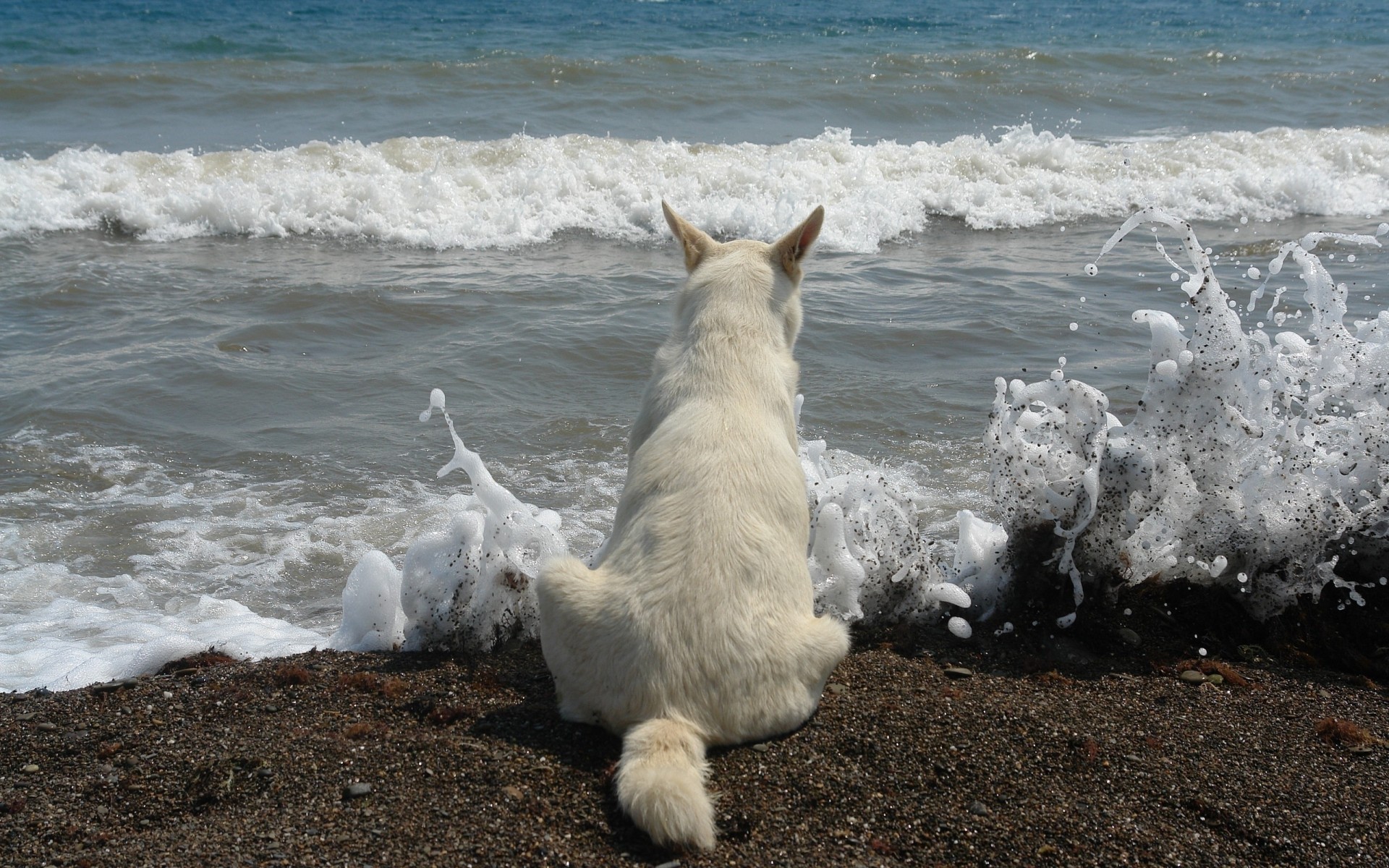 plage vue surf vague mousse jet mer couleurs blanc