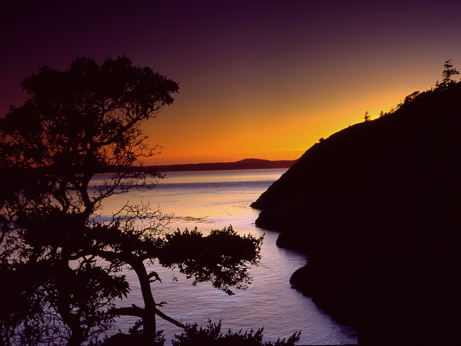 puesta de sol colina árbol mar agua ondulaciones